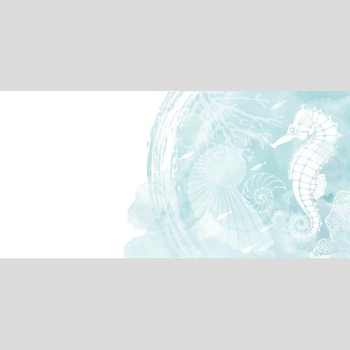 открытка на морскую тему с морским коньком, наутилусами, рыбками, кораллом, голубым акварельным фрагментом и местом для текста на белом